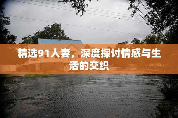 精选91人妻，深度探讨情感与生活的交织