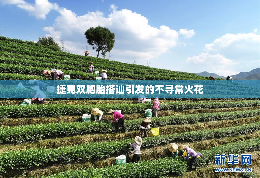 捷克双胞胎搭讪引发的不寻常火花
