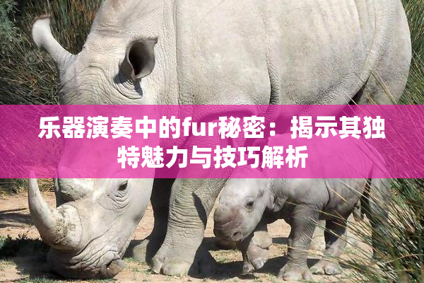 乐器演奏中的fur秘密：揭示其独特魅力与技巧解析