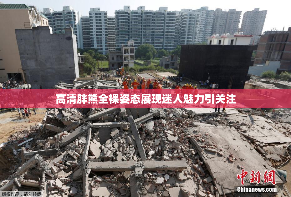 高清胖熊全裸姿态展现迷人魅力引关注