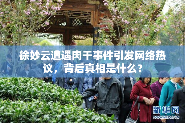 徐妙云遭遇肉干事件引发网络热议，背后真相是什么？