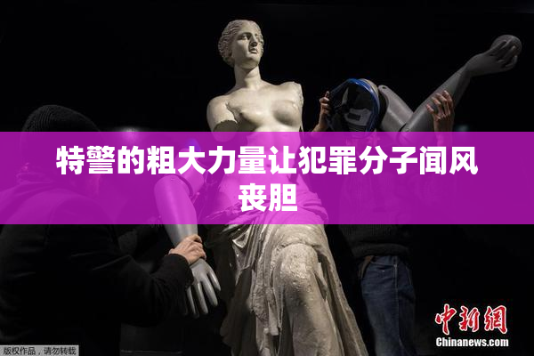 特警的粗大力量让犯罪分子闻风丧胆