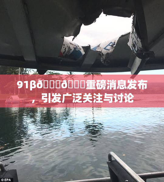 91β🍆🍆重磅消息发布，引发广泛关注与讨论