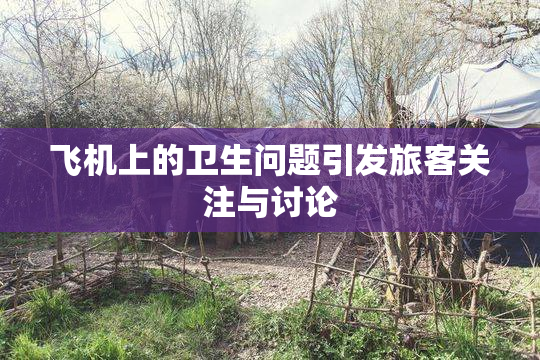 飞机上的卫生问题引发旅客关注与讨论