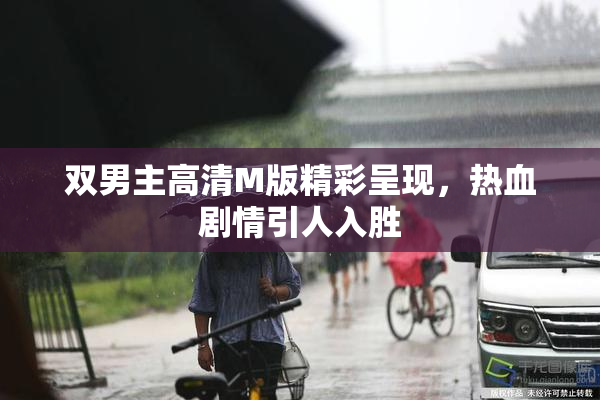 双男主高清M版精彩呈现，热血剧情引人入胜