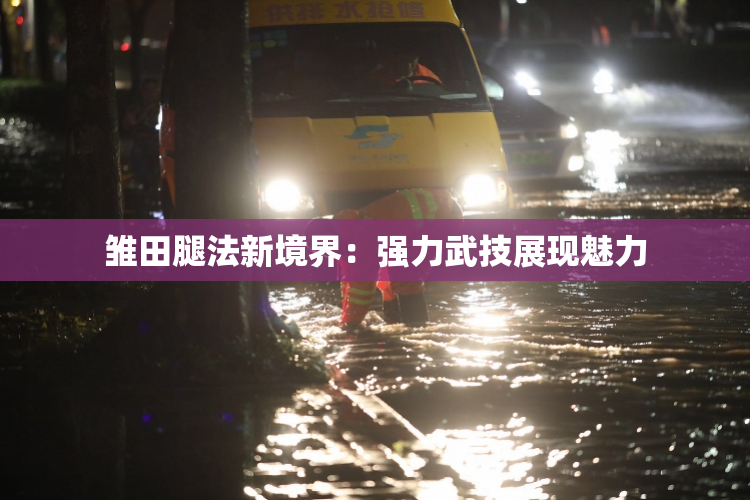 雏田腿法新境界：强力武技展现魅力