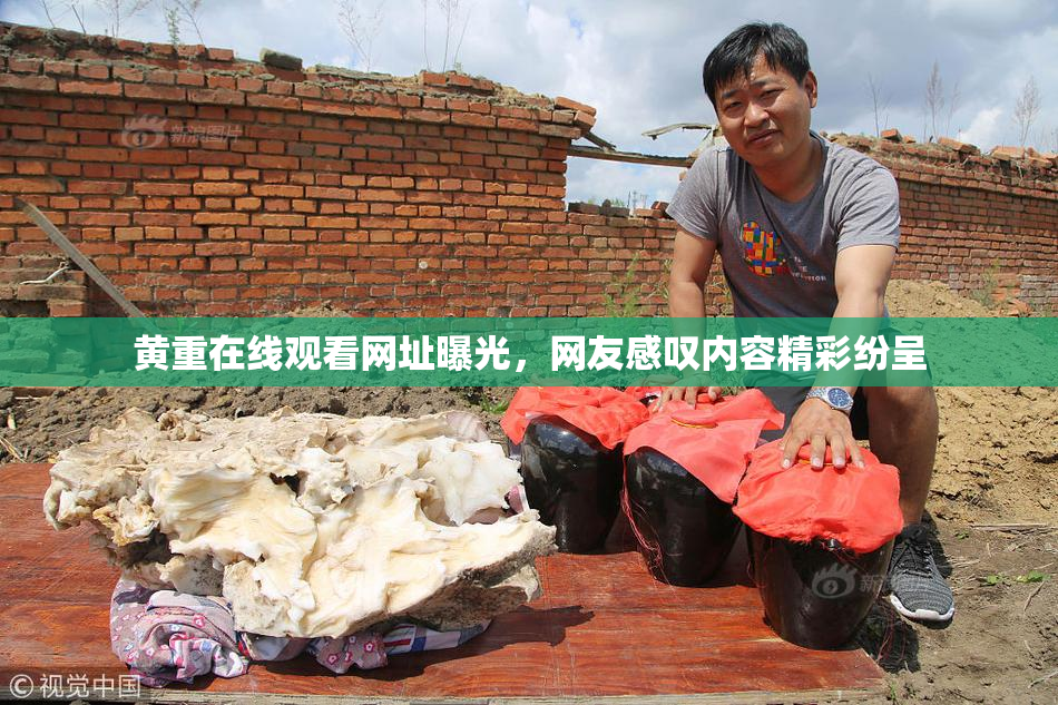 黄重在线观看网址曝光，网友感叹内容精彩纷呈