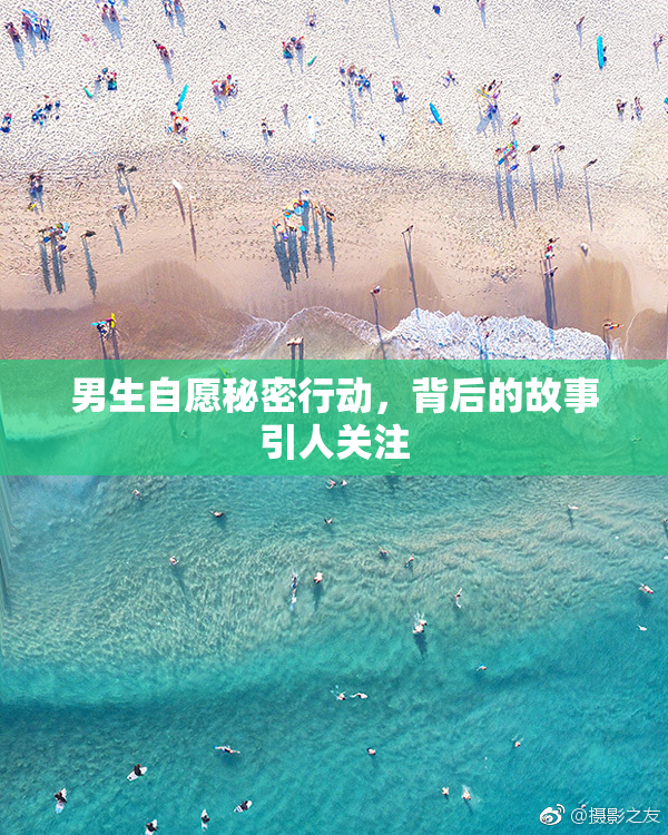 男生自愿秘密行动，背后的故事引人关注