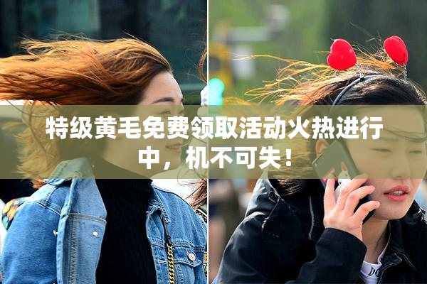 特级黄毛免费领取活动火热进行中，机不可失！