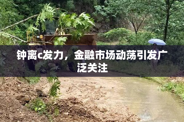钟离c发力，金融市场动荡引发广泛关注