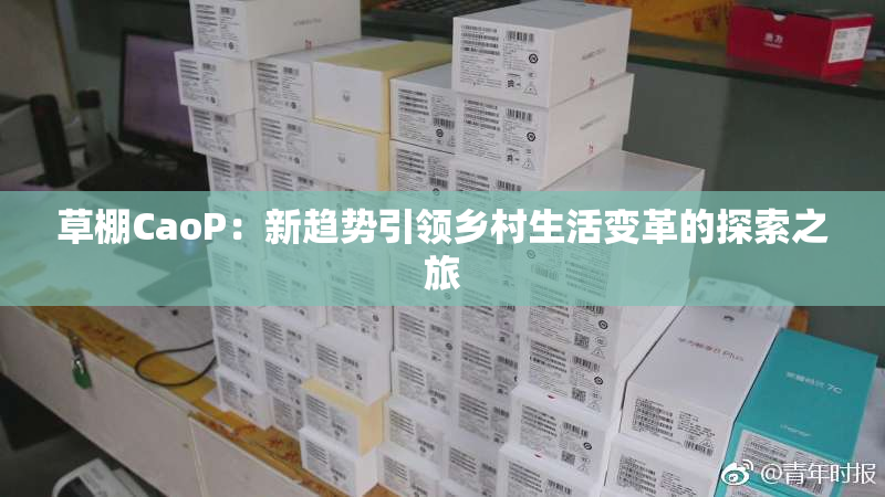 草棚CaoP：新趋势引领乡村生活变革的探索之旅
