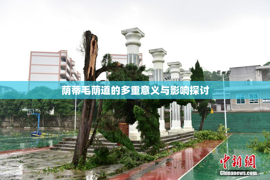 荫蒂毛荫道的多重意义与影响探讨