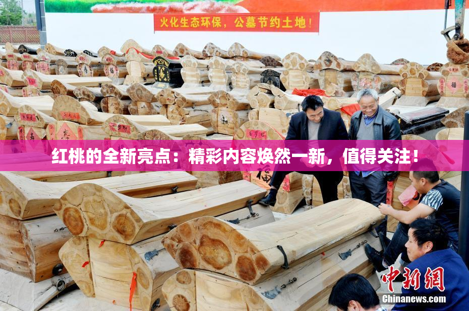 红桃的全新亮点：精彩内容焕然一新，值得关注！