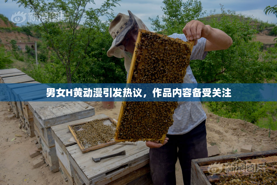 男女H黄动漫引发热议，作品内容备受关注