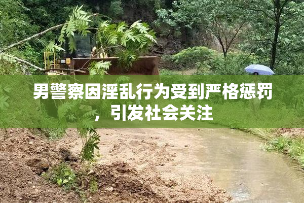 男警察因淫乱行为受到严格惩罚，引发社会关注