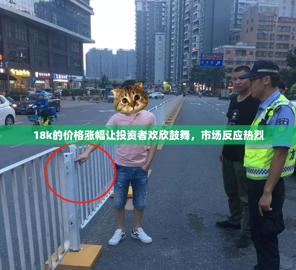 18k的价格涨幅让投资者欢欣鼓舞，市场反应热烈