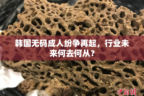 韩国无码成人纷争再起，行业未来何去何从？