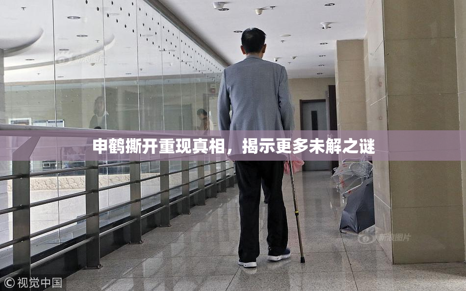 申鹤撕开重现真相，揭示更多未解之谜