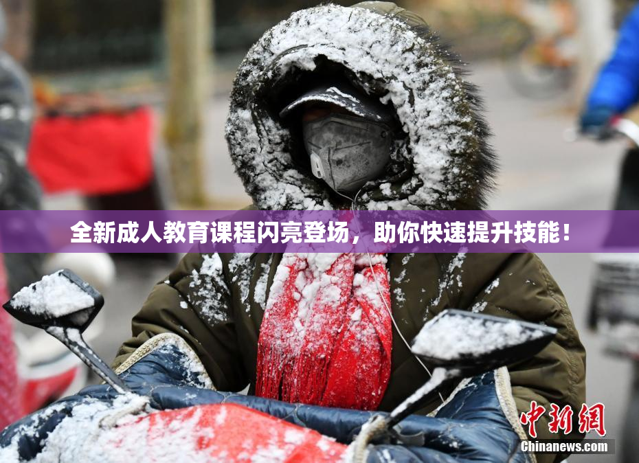 全新成人教育课程闪亮登场，助你快速提升技能！