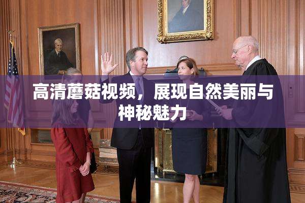 高清蘑菇视频，展现自然美丽与神秘魅力
