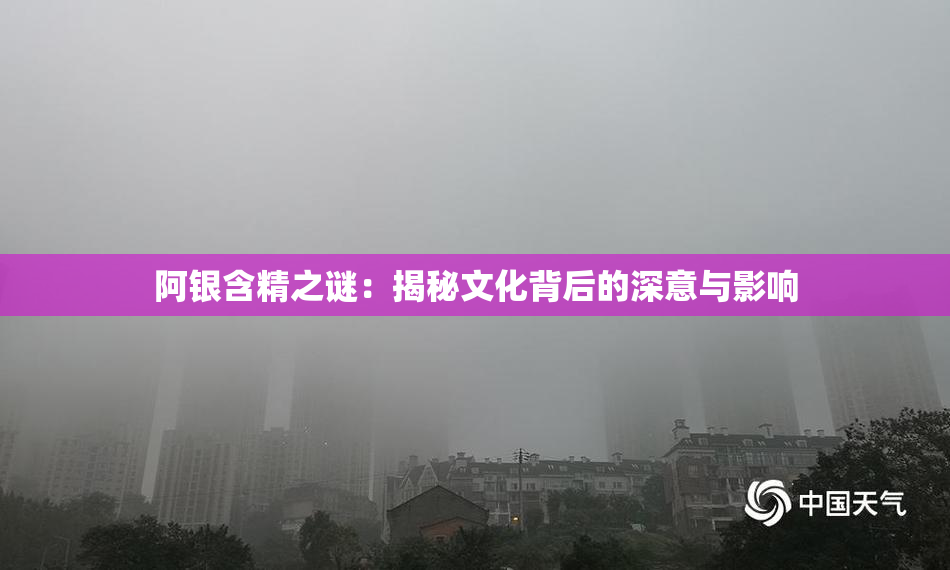 阿银含精之谜：揭秘文化背后的深意与影响