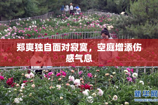 郑爽独自面对寂寞，空庭增添伤感气息