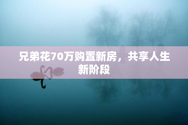 兄弟花70万购置新房，共享人生新阶段