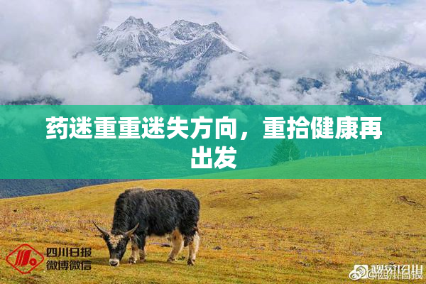 药迷重重迷失方向，重拾健康再出发