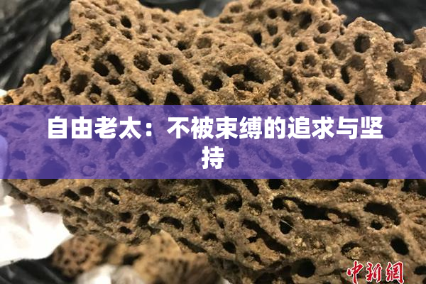 自由老太：不被束缚的追求与坚持