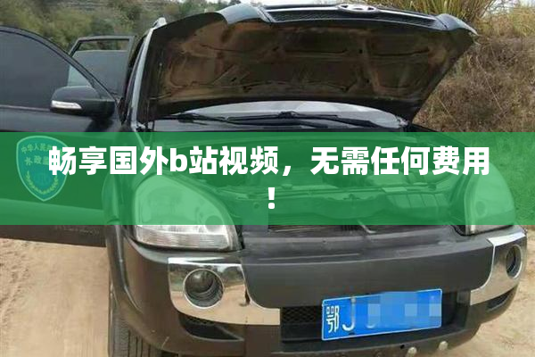 畅享国外b站视频，无需任何费用！