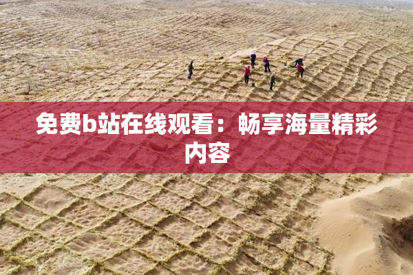 免费b站在线观看：畅享海量精彩内容