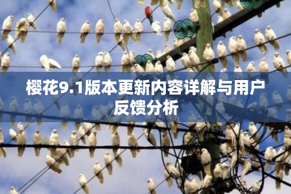 樱花9.1版本更新内容详解与用户反馈分析