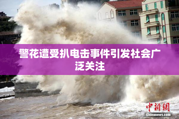 警花遭受扒电击事件引发社会广泛关注