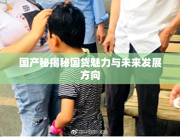 国产秘揭秘国货魅力与未来发展方向