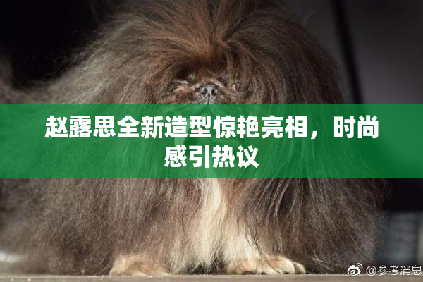赵露思全新造型惊艳亮相，时尚感引热议