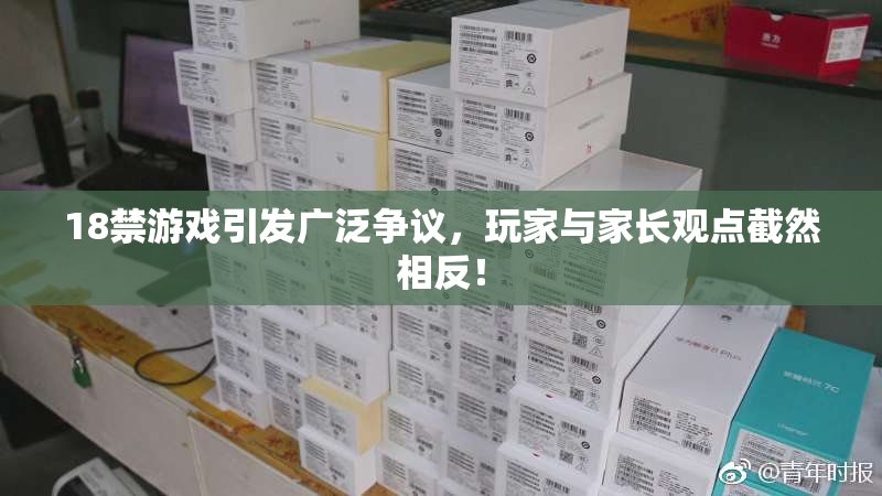 18禁游戏引发广泛争议，玩家与家长观点截然相反！