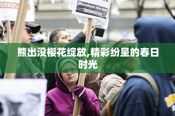 熊出没樱花绽放,精彩纷呈的春日时光