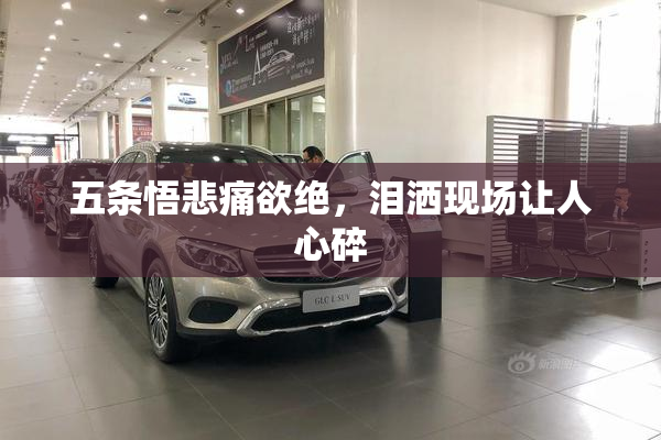 五条悟悲痛欲绝，泪洒现场让人心碎