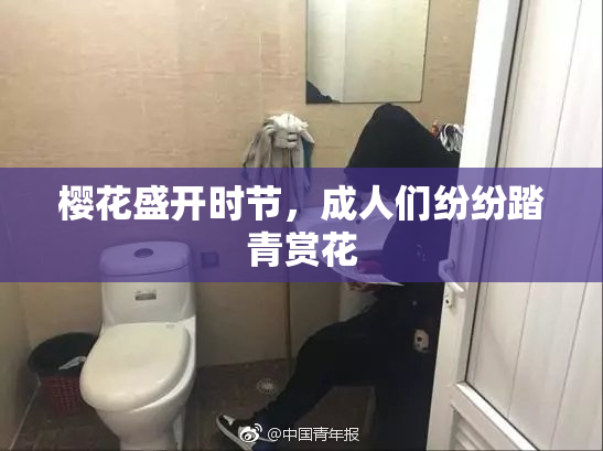 樱花盛开时节，成人们纷纷踏青赏花