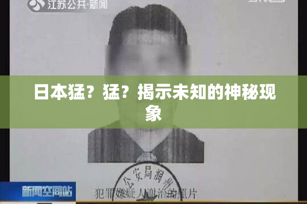 日本猛？猛？揭示未知的神秘现象