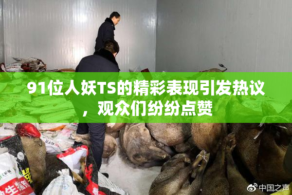 91位人妖TS的精彩表现引发热议，观众们纷纷点赞