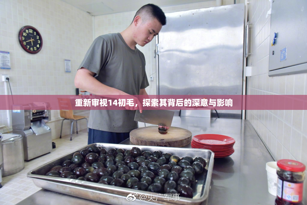 重新审视14初毛，探索其背后的深意与影响
