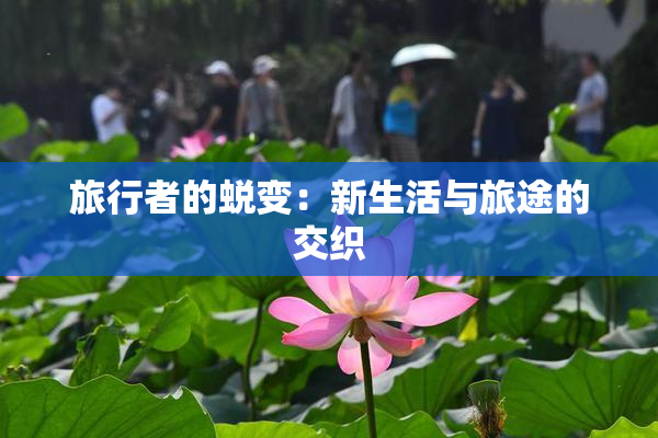 旅行者的蜕变：新生活与旅途的交织