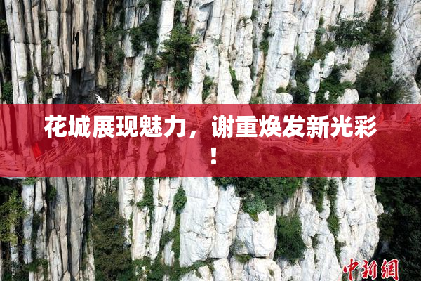 花城展现魅力，谢重焕发新光彩！