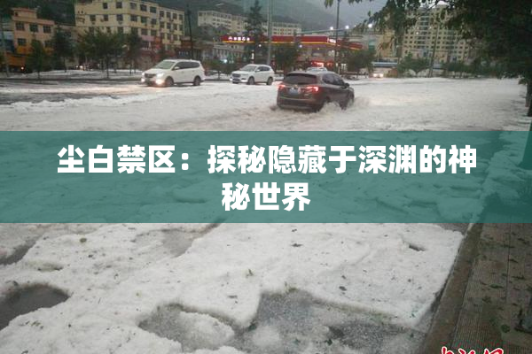 尘白禁区：探秘隐藏于深渊的神秘世界