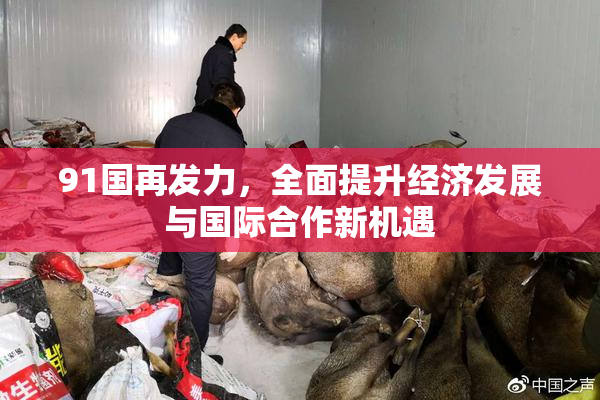 91国再发力，全面提升经济发展与国际合作新机遇