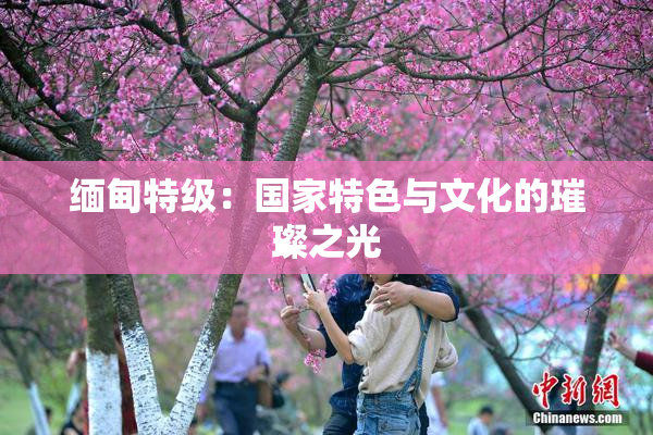 缅甸特级：国家特色与文化的璀璨之光