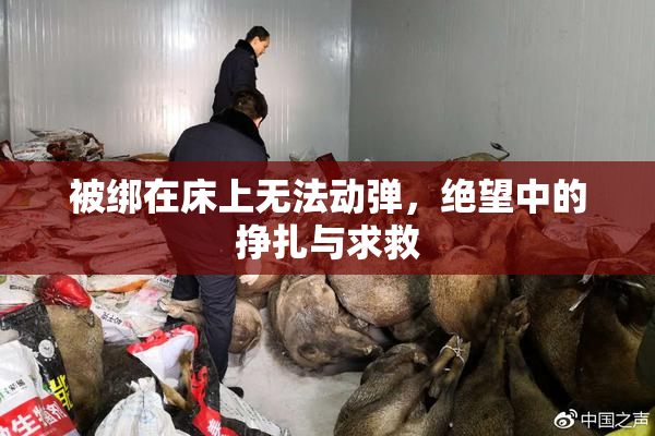 被绑在床上无法动弹，绝望中的挣扎与求救