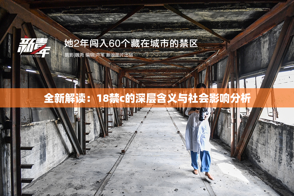全新解读：18禁c的深层含义与社会影响分析