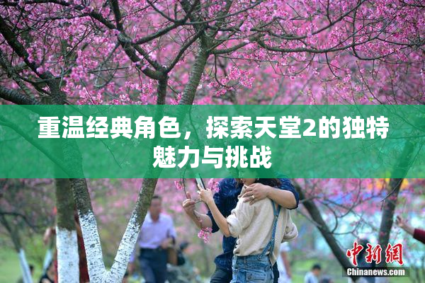 重温经典角色，探索天堂2的独特魅力与挑战